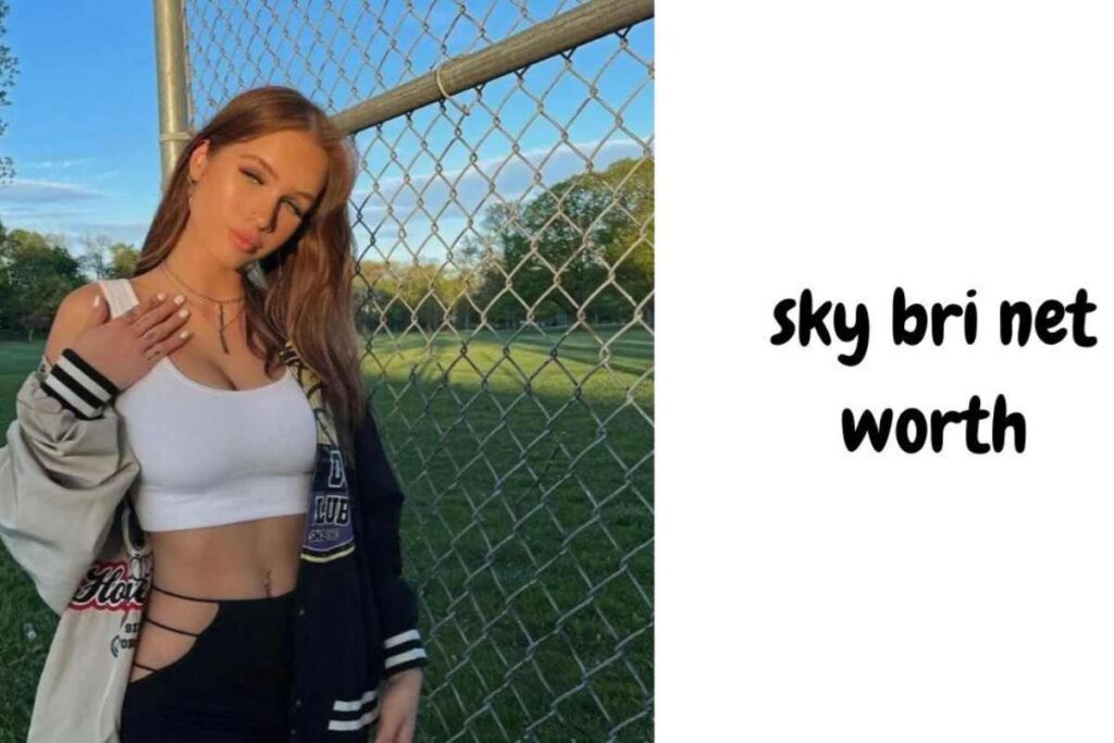 sky bri net worth